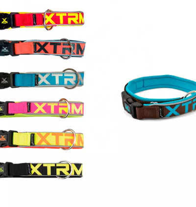 Collar X-TRM Neon Flash
